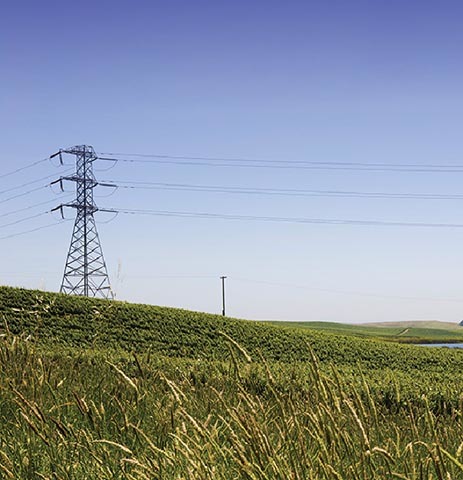 Back power lines field
